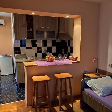 Apartman Ristic Niska Banja Extérieur photo