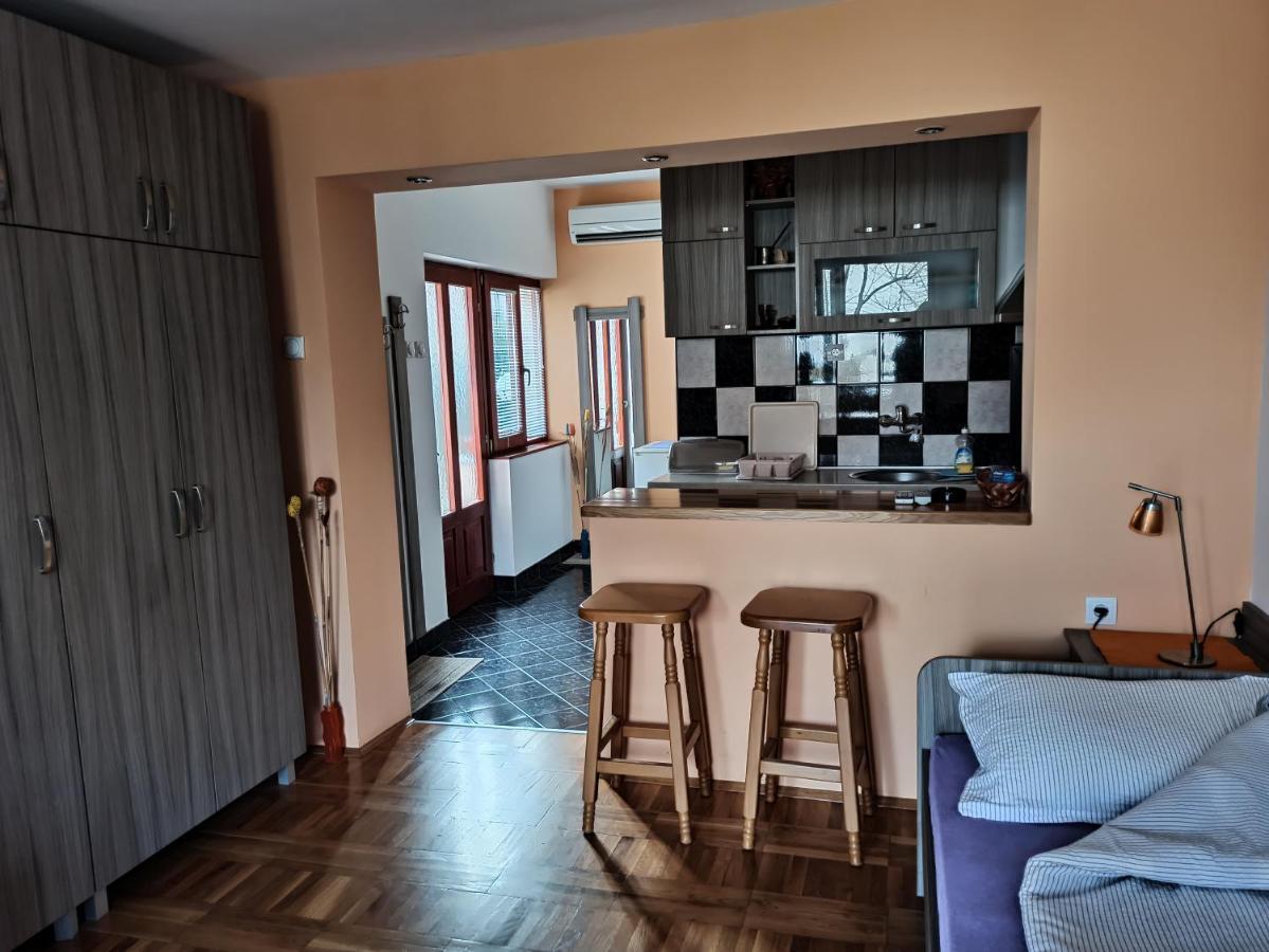 Apartman Ristic Niska Banja Extérieur photo