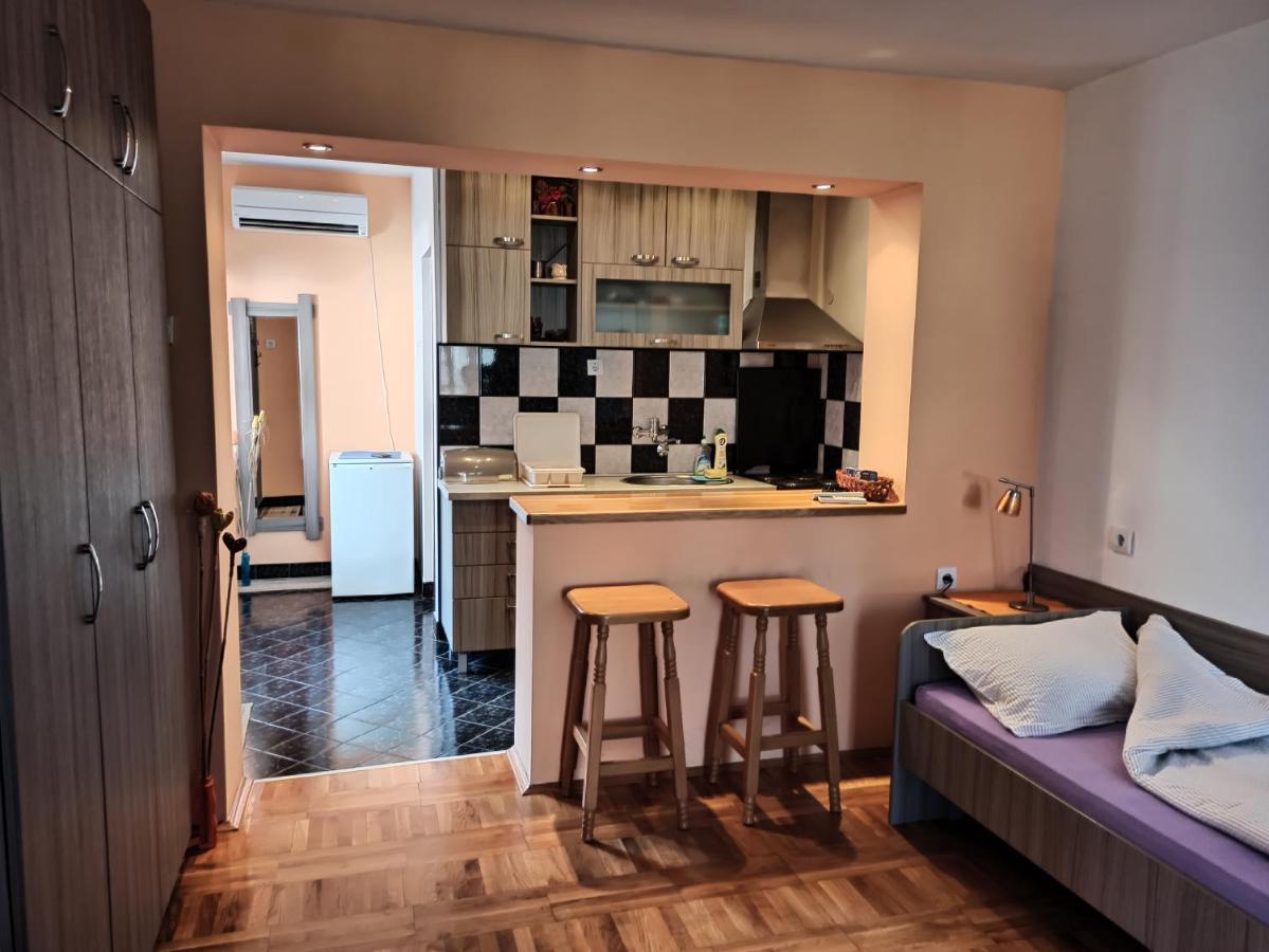 Apartman Ristic Niska Banja Extérieur photo