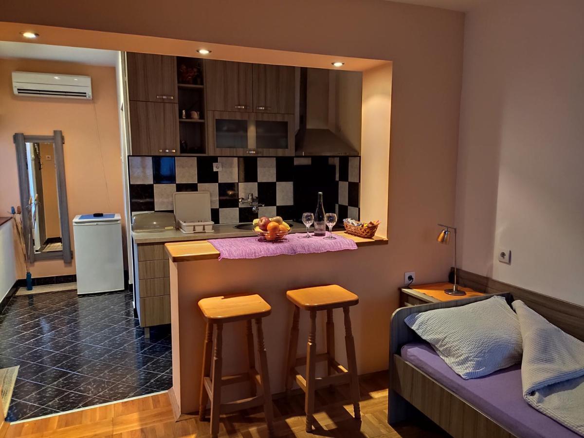 Apartman Ristic Niska Banja Extérieur photo