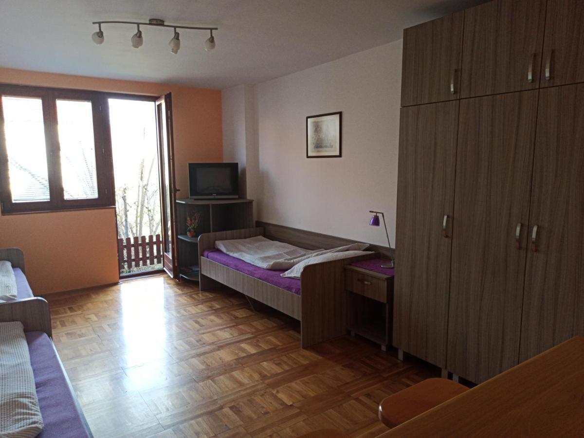 Apartman Ristic Niska Banja Extérieur photo