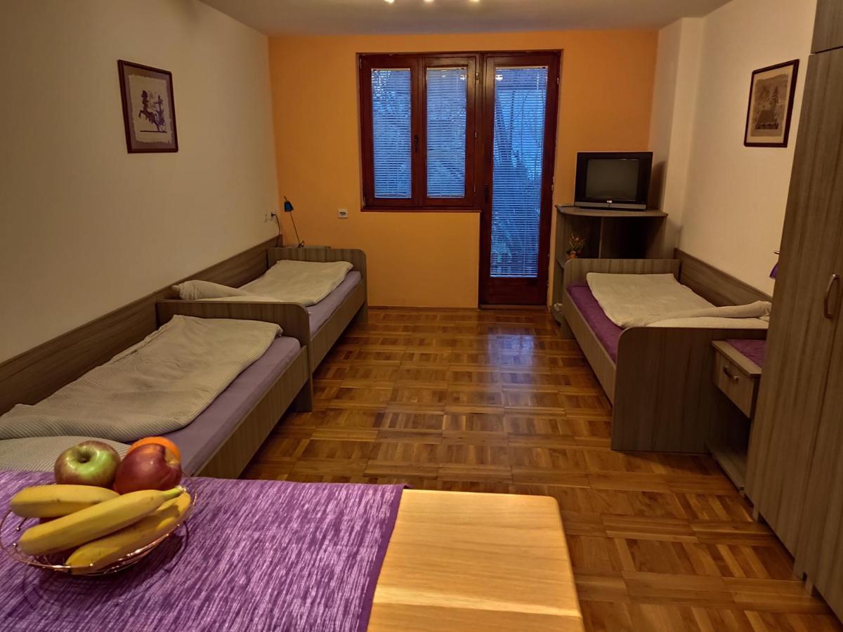 Apartman Ristic Niska Banja Extérieur photo